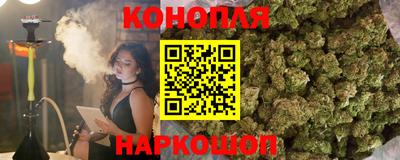 гидра Уссурийск