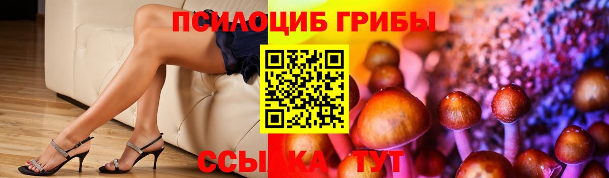 Пыть-Ях  Псилоцибиновые грибы прущие грибы  Вход с VPN 